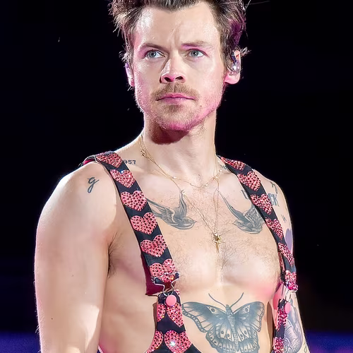 Harry Styles AI Video Generator