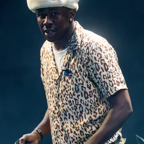 Tyler, the Creator AI Video Generator